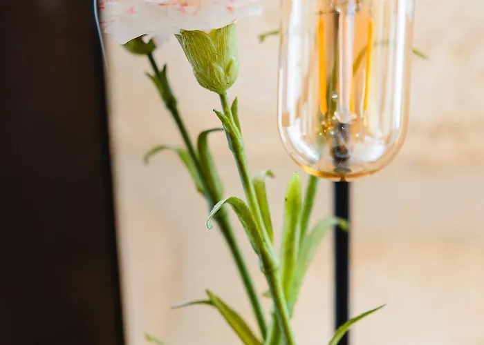 Boheme Eyes - Bordeauxlidays Апартаменты